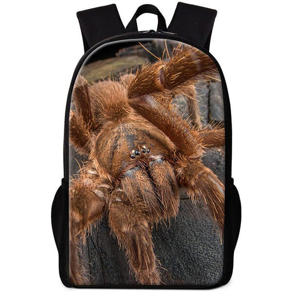 Spider Backpack