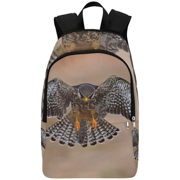 Falcon Backpack