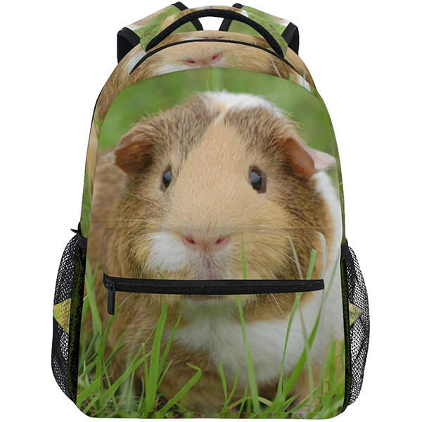 Guinea Pig Backpack